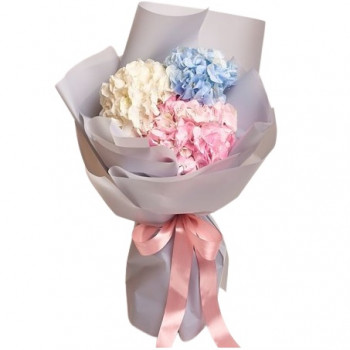Hydrangeas in a beautiful package (choose the number)