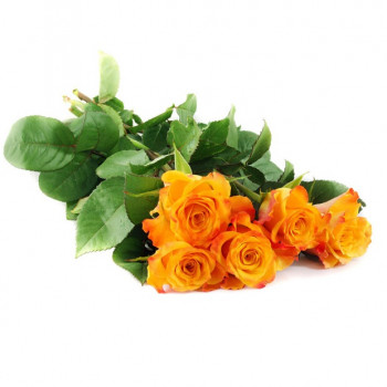 5 orange roses