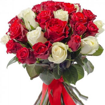 25 red and white roses 40 cm